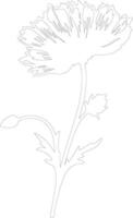 AI generated chicory  outline silhouette vector