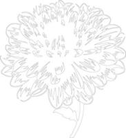 AI generated chrysanthemum  outline silhouette vector