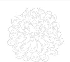 AI generated chrysanthemum  outline silhouette vector
