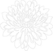 AI generated chrysanthemum  outline silhouette vector