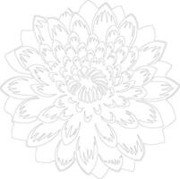 AI generated chrysanthemum  outline silhouette vector