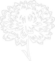 AI generated chrysanthemum  outline silhouette vector