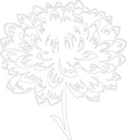 AI generated chrysanthemum  outline silhouette vector