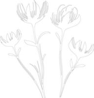 AI generated crocus outline silhouette vector