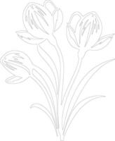 AI generated crocus  outline silhouette vector