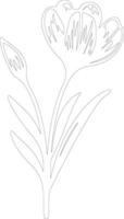 AI generated crocus  outline silhouette vector