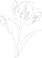 AI generated crocus  outline silhouette vector