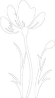 AI generated crocus  outline silhouette vector