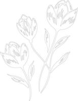 AI generated crocus  outline silhouette vector