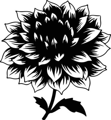 AI generated dahlia  black silhouette