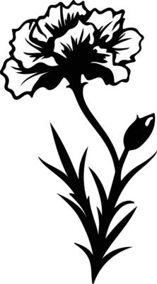 AI generated dianthus  black silhouette