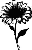 AI generated gerbera daisy  black silhouette vector