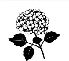 ai generado hortensia negro silueta vector