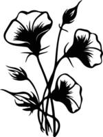 AI generated morning glory  black silhouette vector