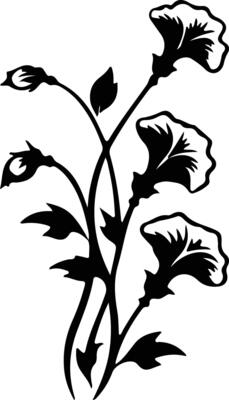 AI generated morning glory  black silhouette