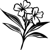 AI generated oleander  black silhouette vector