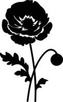 AI generated ranunculus  black silhouette vector