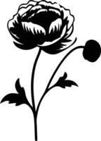 AI generated ranunculus  black silhouette vector