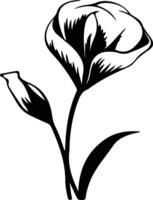 AI generated sego lily  black silhouette vector