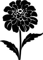 AI generated zinnia  black silhouette vector