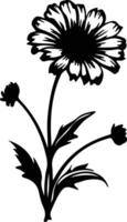 AI generated calendula  black silhouette vector