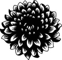 AI generated chrysanthemum black silhouette vector