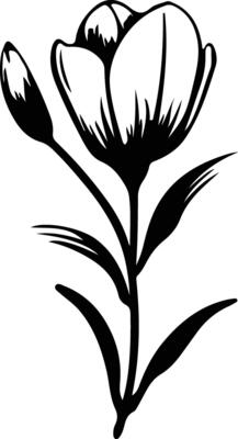 AI generated crocus  black silhouette