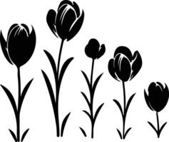 AI generated crocus  black silhouette vector