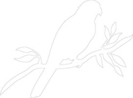 AI generated lorikeet  outline silhouette vector