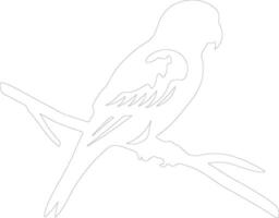 AI generated lorikeet  outline silhouette vector
