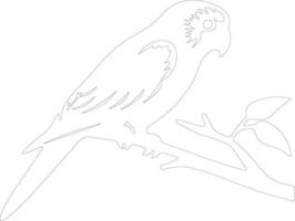 AI generated lorikeet  outline silhouette vector