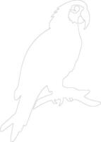 AI generated macaw  outline silhouette vector