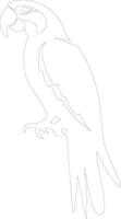 AI generated macaw  outline silhouette vector