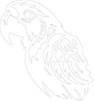 AI generated macaw  outline silhouette vector