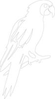 AI generated macaw  outline silhouette vector