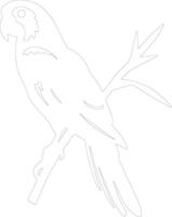 AI generated macaw  outline silhouette vector