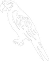 AI generated macaw  outline silhouette vector