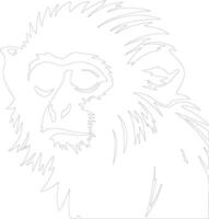 AI generated marmoset  outline silhouette vector