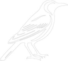 AI generated meadowlark  outline silhouette vector