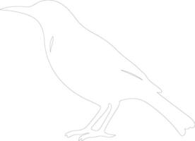 AI generated meadowlark  outline silhouette vector