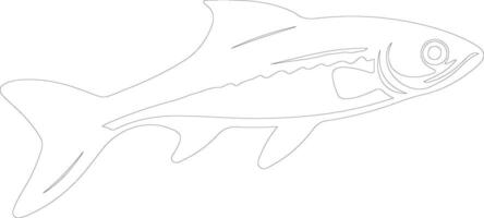 AI generated minnow outline silhouette vector