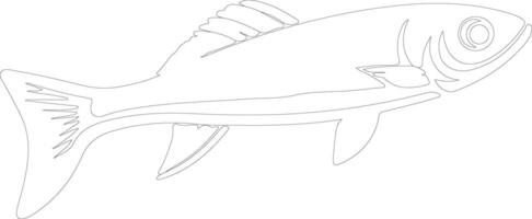 AI generated minnow  outline silhouette vector