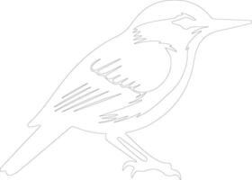 AI generated nuthatch outline silhouette vector