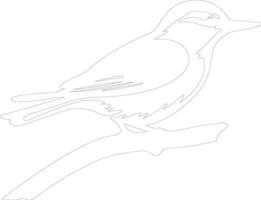 AI generated nuthatch  outline silhouette vector