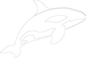 AI generated orca  outline silhouette vector