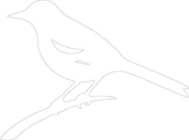 AI generated oriole  outline silhouette vector