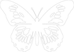 ai generado pintado dama mariposa contorno silueta vector