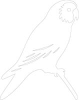 AI generated parakeet  outline silhouette vector