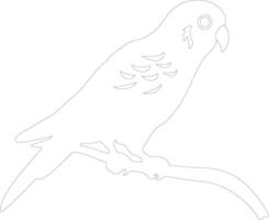 AI generated parakeet  outline silhouette vector