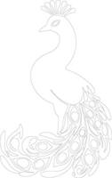 AI generated peacock  outline silhouette vector